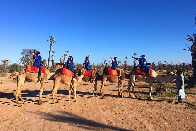 2 Hours Camel Ride in The Famous Marrakech Palm Groves and Berber Villages - Activity Overview