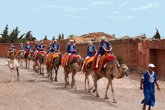 2 Hours Camel Ride in The Famous Marrakech Palm Groves and Berber Villages - Location Highlights