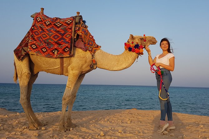 2 Hours Camel Riding at Amazing Desert & Sea With Transfer - Hurghada - Transportation