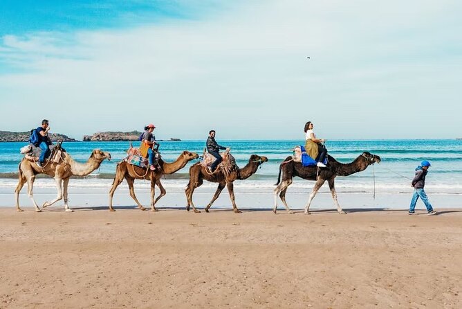 2 Hours Camel Riding Experience in Agadir - Experience Inclusions
