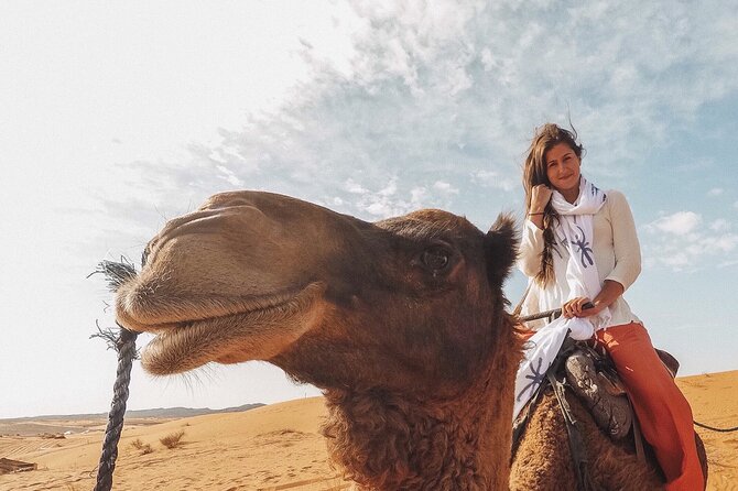 2 Hours Camel Riding Experience in Agadir - Pickup Information