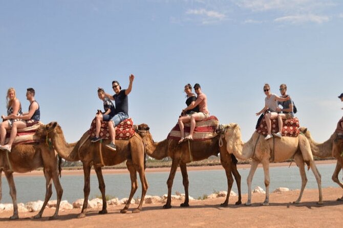 2 Hours Camel Riding Experience in Agadir - Customer Reviews