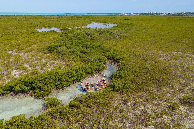 2 Hours Clear Kayaking Activity on Mangrove Cay - An In-Depth Look at the Kayaking Experience