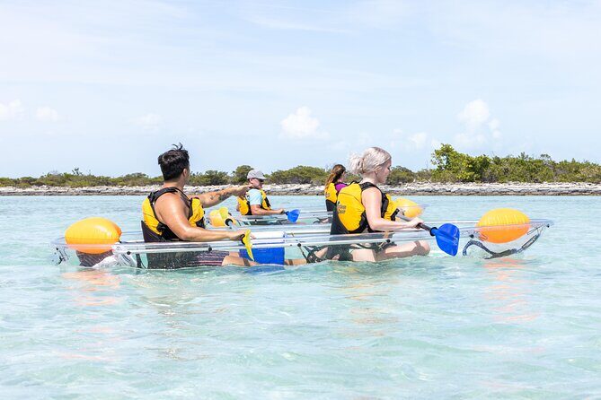 2 Hours Clear Kayaking Activity on Mangrove Cay - Practical Details and Value