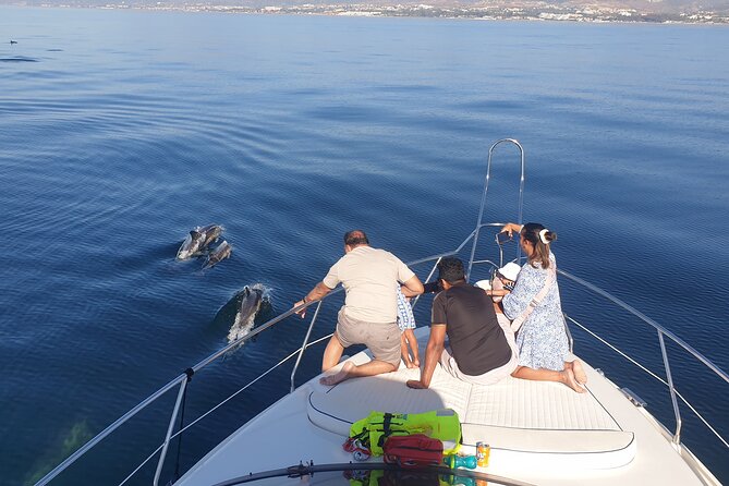 2 Hours Dolphin Watching in Marbella - What to Expect and Accessibility