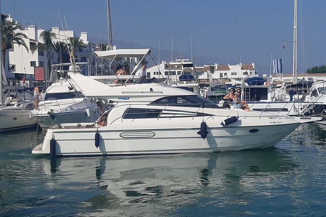 2 Hours Dolphin Watching in Marbella - Traveler Photos and Inspiration