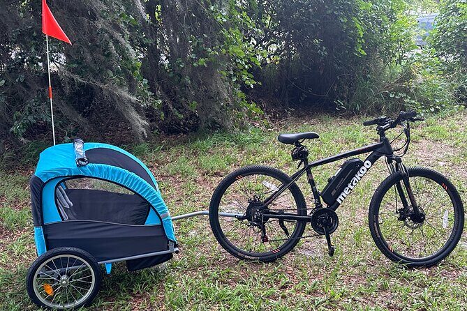 2 hours E-Bike with 2-Child Trailer Kissimmee Lakefront Tour - Good To Know