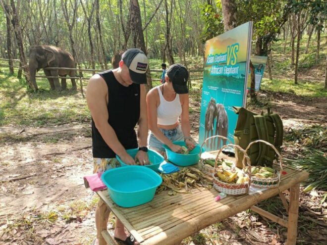 2-Hours Eco Guide Walking Tour in Khaolak Elephant Sanctuary - Customer Reviews