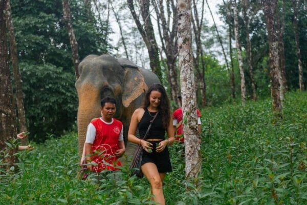2-Hours Eco Guide Walking Tour in Khaolak Elephant Sanctuary - Common Questions