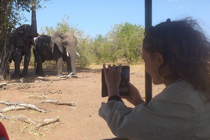 2-Hours Elephants Safari Day Tour in Victoria Falls - Good To Know