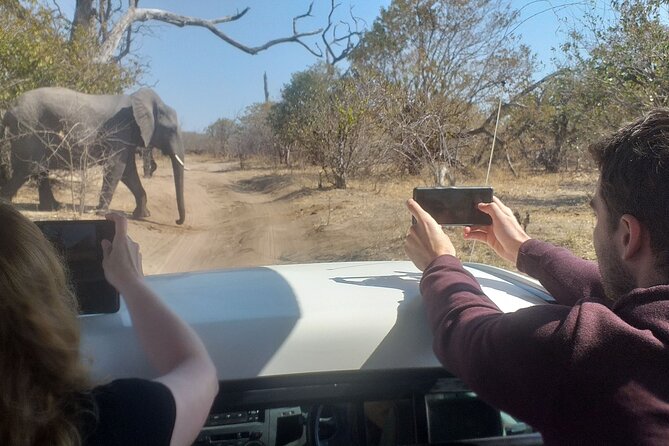 2-Hours Elephants Safari Day Tour in Victoria Falls - Frequently Asked Questions