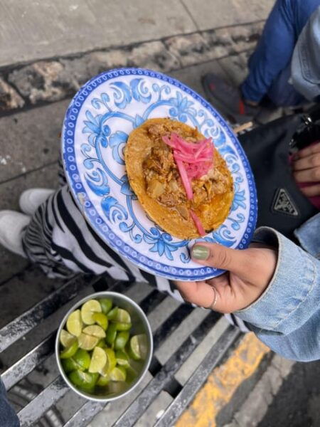 2 Hours Gastronomic Mexican Private Tour - Local Market Exploration