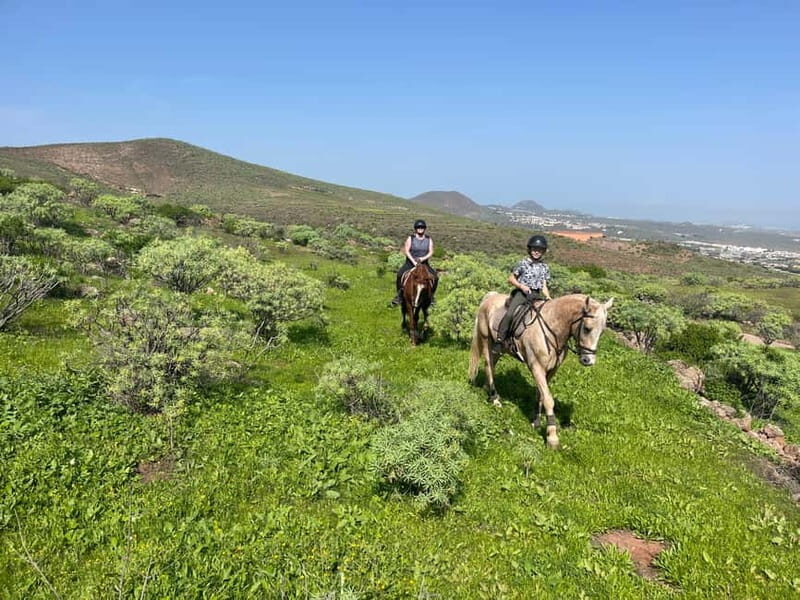 2 hours Green Mountains Horse Riding Tour - An Overview of the Horse Riding Experience