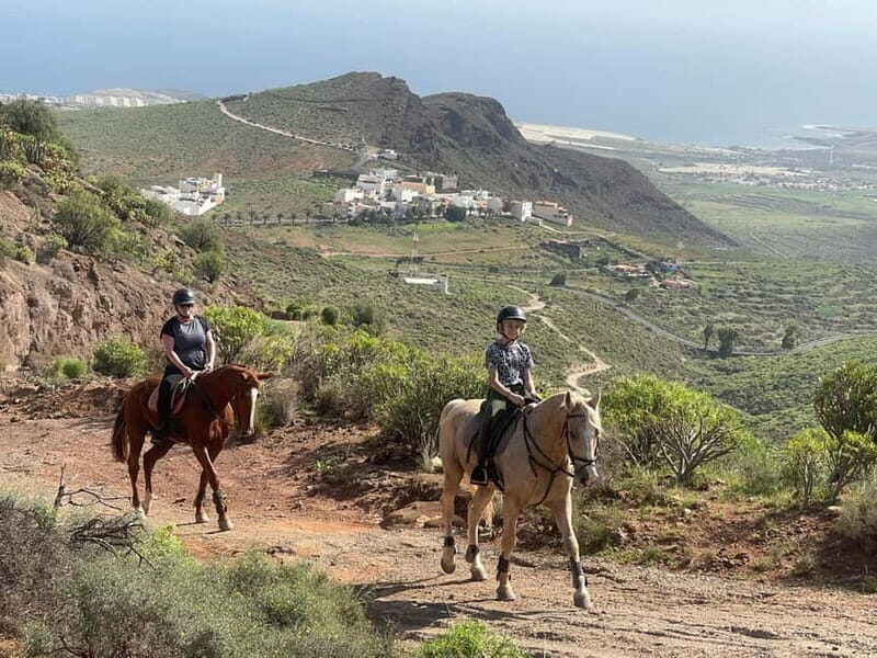 2 hours Green Mountains Horse Riding Tour - The Experience: What Our Reviewers Say