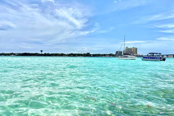 2 Hours Guided Dolphin Tour in Florida - Who This Tour Is Perfect For