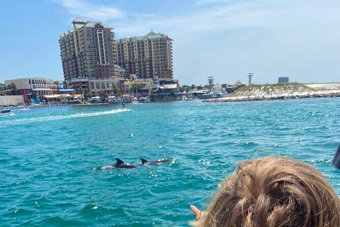 2 Hours Guided Dolphin Tour in Florida - Good To Know