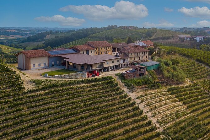 2 Hours Guided Tour and Wine Tasting in the Heart of Roero - Food and Beverage Offerings