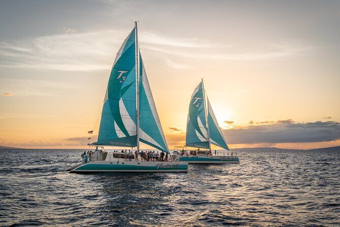 2 Hours Holo Holo Sunset Cocktail Sail with Open Bar - Practical Details & Booking Info