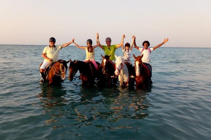 2 Hours Horse Riding 1H on the Sea and 1H in Desert From Hurghada - Wildlife Encounter and Natural Wonders