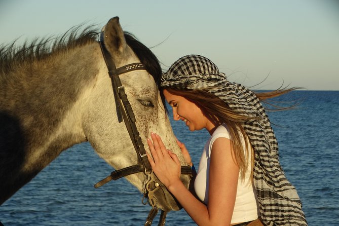 2 Hours Horse Riding 1H on the Sea and 1H in Desert From Hurghada - Suitable for Beginners With Assistance