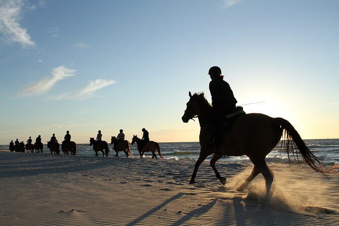 2 hours Horse Riding Excursion near the Beach in Alcúdia bay - Good To Know