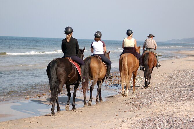 2 hours Horse Riding Excursion near the Beach in Alcúdia bay - An In-Depth Look at the Horse Riding Experience in Mallorca