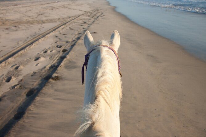 2 hours Horse Riding Excursion near the Beach in Alcúdia bay - Final Thoughts