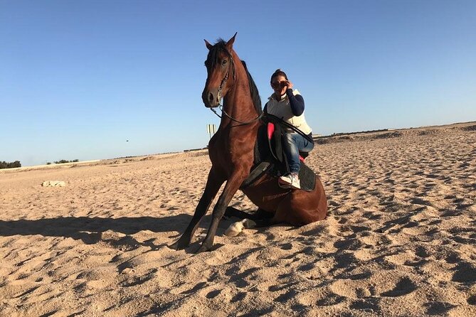 2 Hours Horse Riding in Desert With Transfer - Sharm El Sheikh - Good To Know