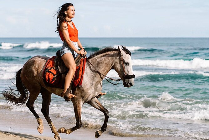 2 Hours Horse Riding in Desert With Transfer - Sharm El Sheikh - Location Details