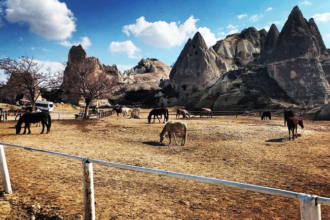 2 Hours Horse Riding Tour in Red and Rose Valley - Frequently Asked Questions