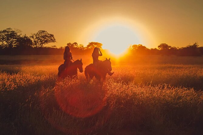 2 Hours Horse Riding With Balloons at Sunrise in Cappadocia - Gratitudes Meeting and Pickup
