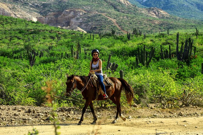 2 Hours Horseback Riding Adventure in Cabo - Overview of the Horseback Riding Adventure
