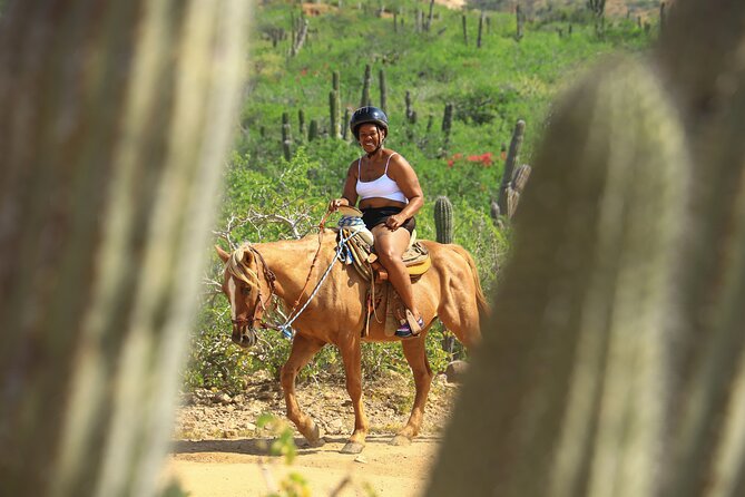 2 Hours Horseback Riding Adventure in Cabo - Highlights of the Animal Sanctuary Visit