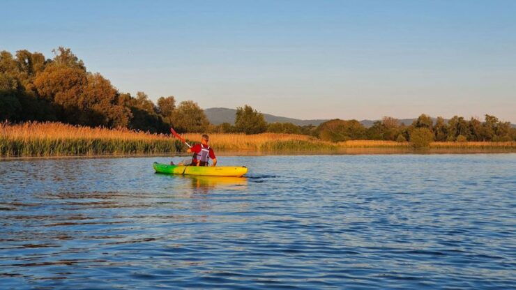 2 Hours Kayaking at Ponte Buriano Natural Reserve - Good To Know