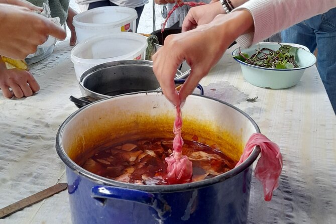 2 Hours Nature Dyeing Fabric With Local Plants in Cyprus - Accessibility Information
