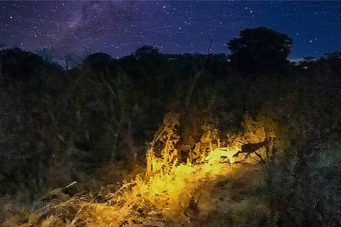 2 Hours Night Safari Drive in National Park From Victoria Falls - Additional Information