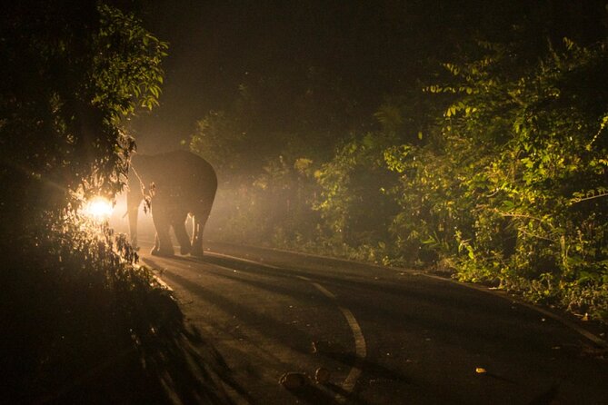 2 Hours Night Safari Drive in National Park From Victoria Falls - Frequently Asked Questions