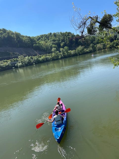 2 Hours of Canoeing on the Saône River Near Lyon - Booking Process