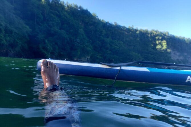 2 Hours Paddle Board Experience in Chaguaramas. Snorkeling also. - Exploring the Tour in Detail
