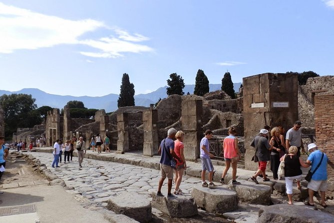 2 Hours Pompeii Tour With Local Historian - Ticket Included - Cancellation Policy