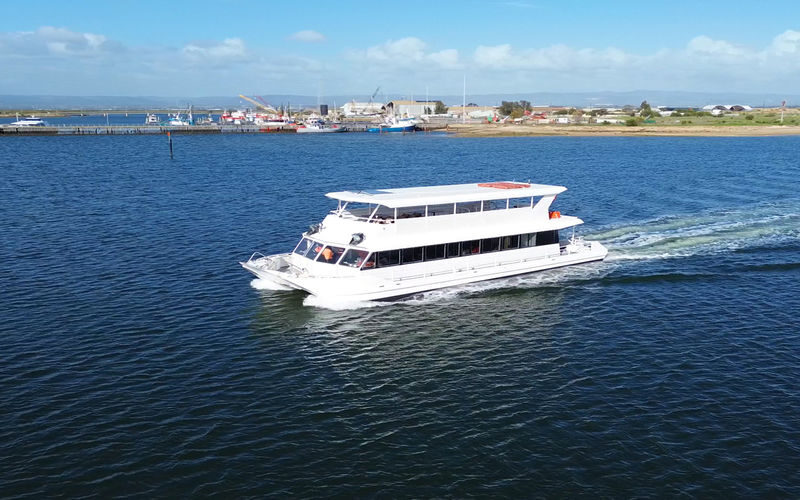 2 Hours Port River Dolphin and Maritime Cruise - Port Adelaide’s river, not the open sea