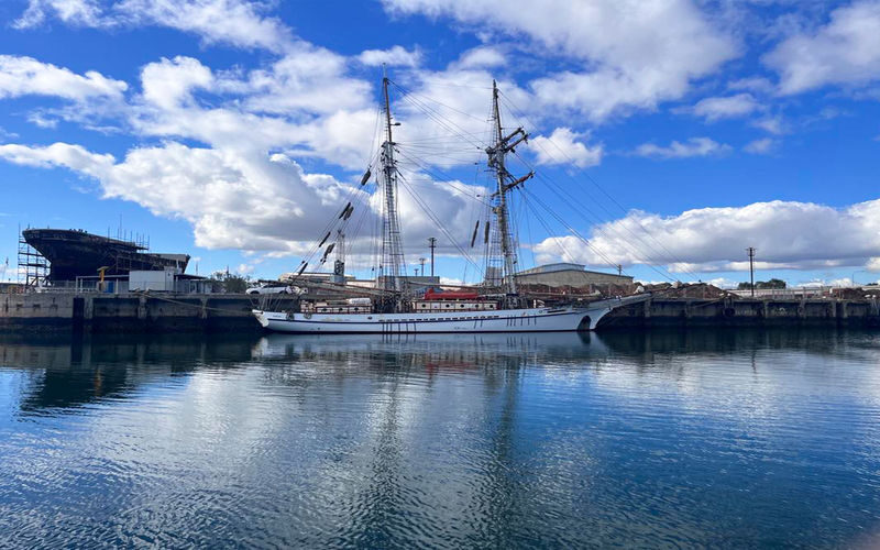 2 Hours Port River Dolphin and Maritime Cruise - A skipper-guide brings the waterfront to life
