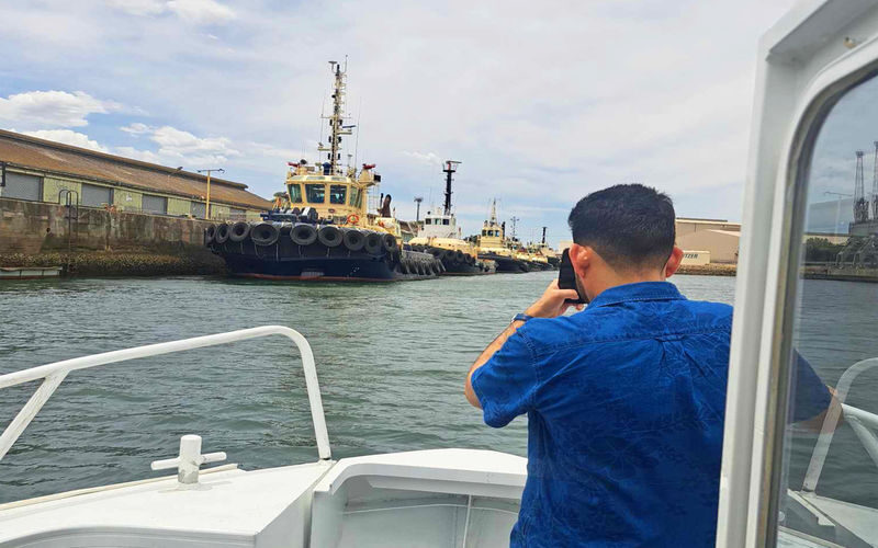 2 Hours Port River Dolphin and Maritime Cruise - Two hours on paper, so confirm the timing