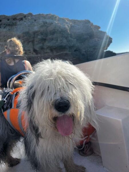 2 Hours Private Benagil Caves and Beaches Boat Tour - Restrictions