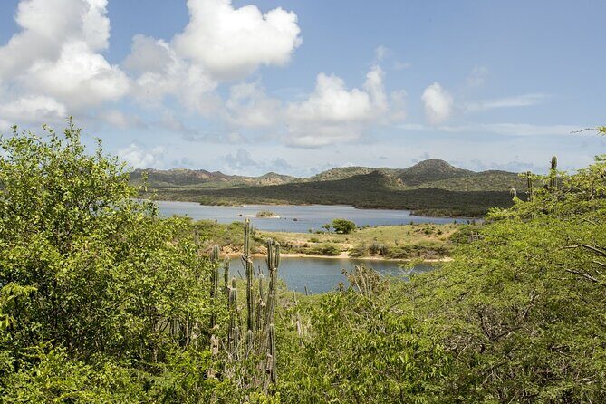 2 Hours Private Chauffeur Driven Car Minibus for 1 to 12 persons - Who Should Consider This Experience?