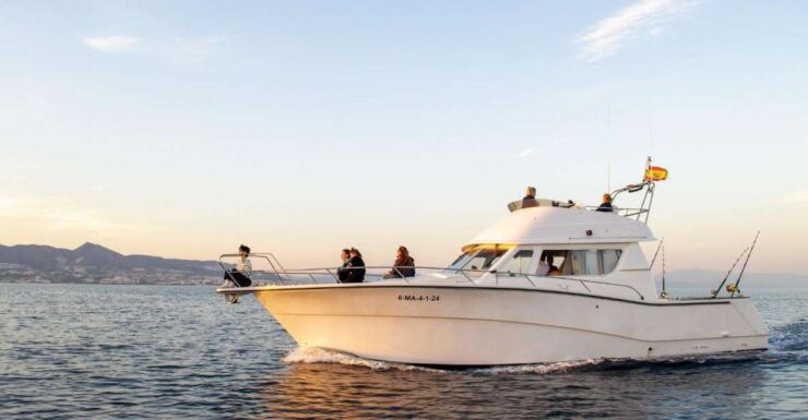 2 Hours Private Dolphin Watching Excursion - Activity Details