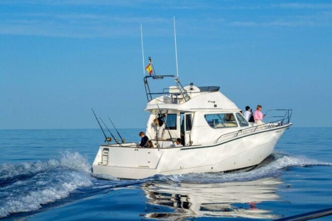 2 Hours Private Dolphin Watching Excursion - Experience Highlights