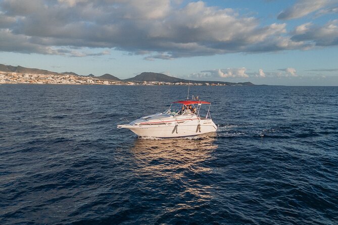 2 Hours Private Luxury Sunset Cruise in Tenerife - Frequently Asked Questions