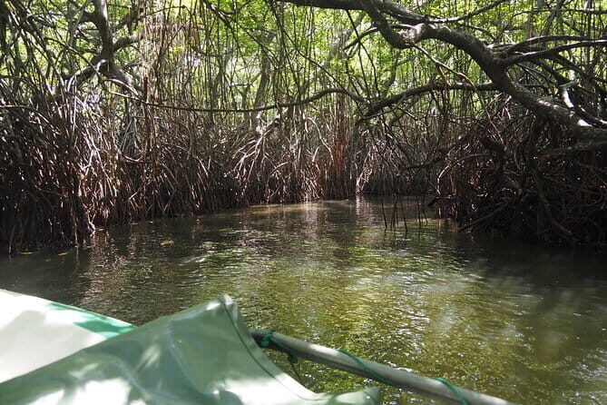 2 hours private Madu River Safari - What the Tour Includes and What Not