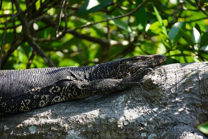 2 hours private Madu River Safari - Final Thoughts